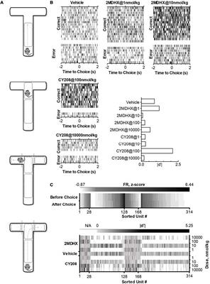 Dose-Dependent Regulation on Prefrontal Neuronal Working Memory by Dopamine D1 Agonists: Evidence of Receptor Functional Selectivity-Related Mechanisms